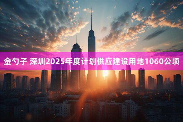 金勺子 深圳2025年度计划供应建设用地1060公顷